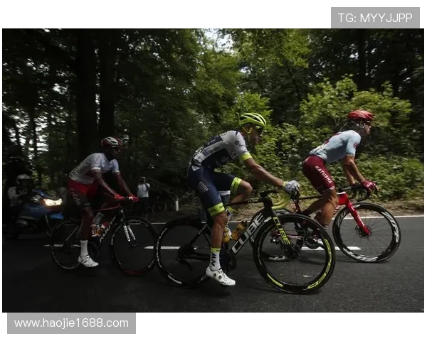 ucc环法自行车赛（环法自行车赛各种衫）sports