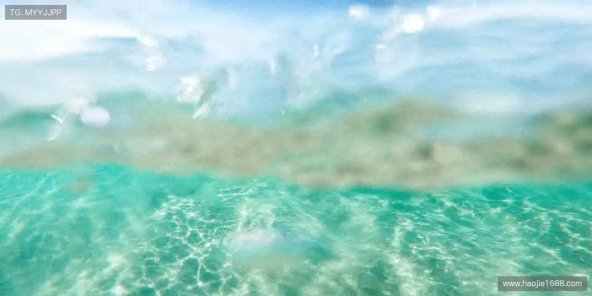 个性定制,独一无二!🎨👟 用你的故事,打造专属运动装备!